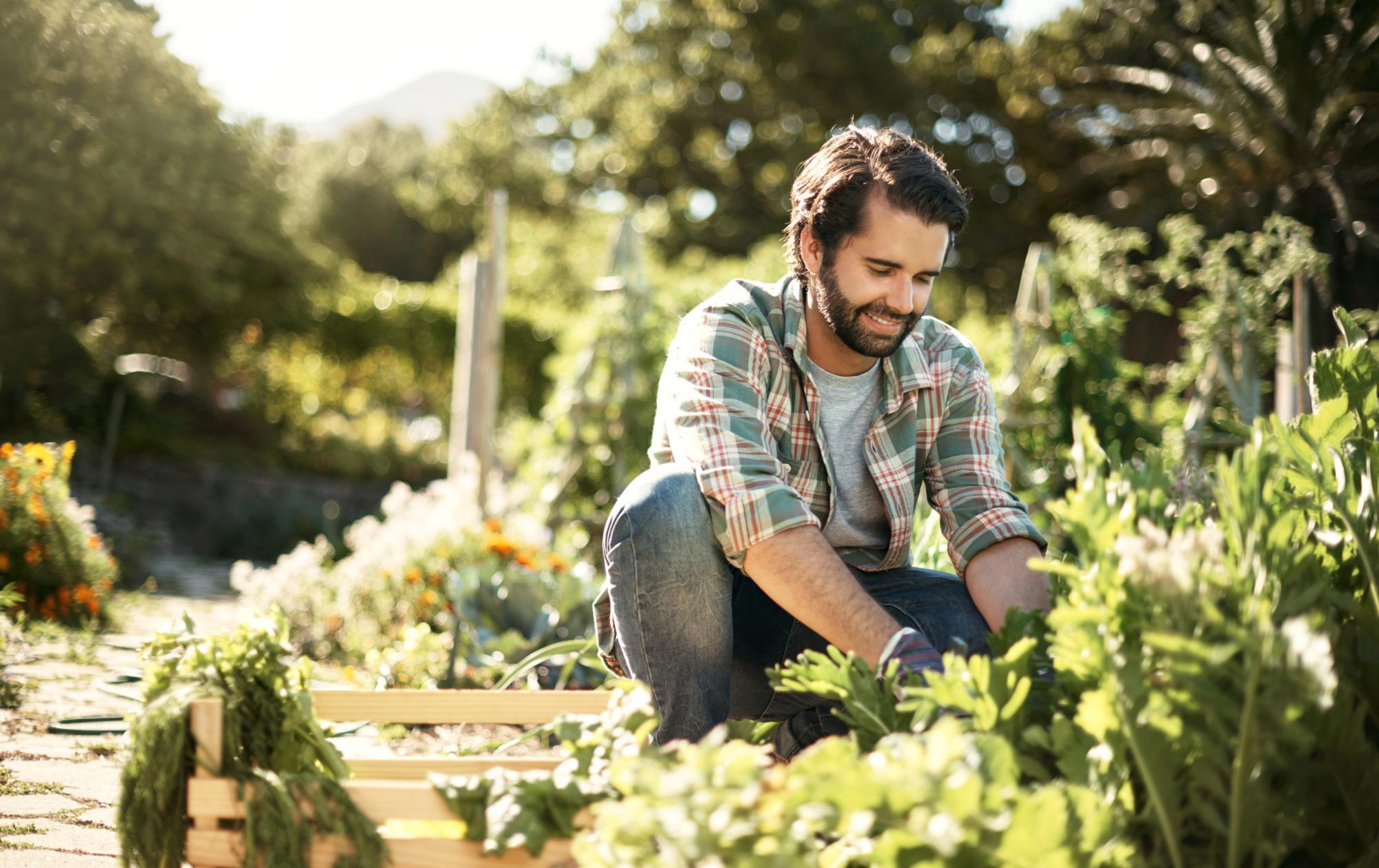 13 Organic Gardening Chores for May