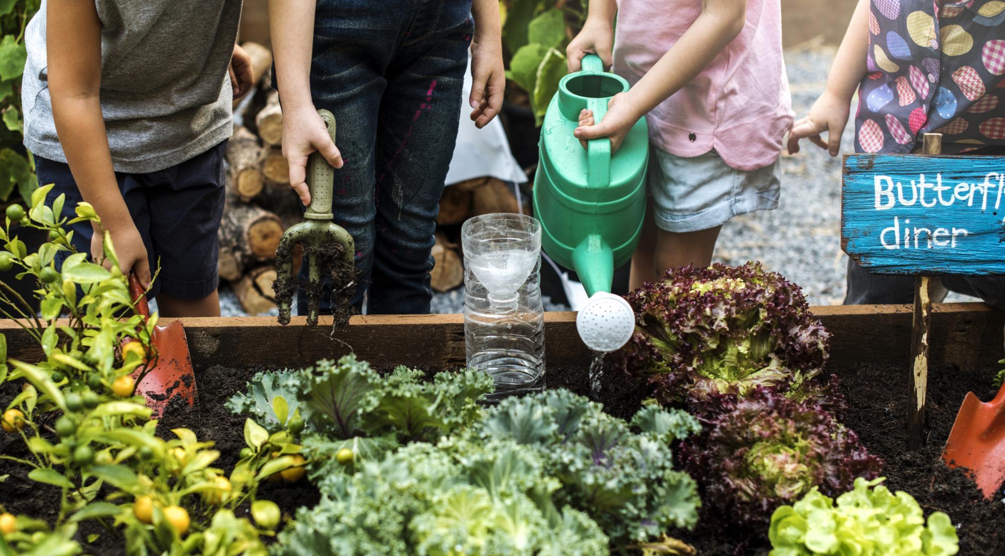 6 Reasons It's Important to Garden With Your Kids