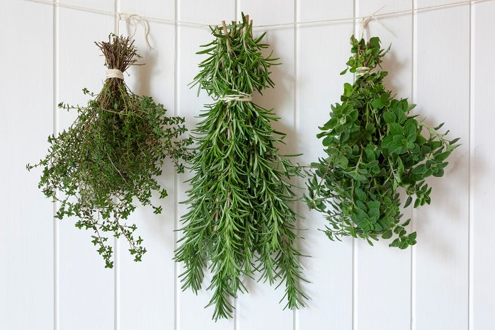 How to Preserve Organic Herbs [Drying, Freezing & Refrigerating]