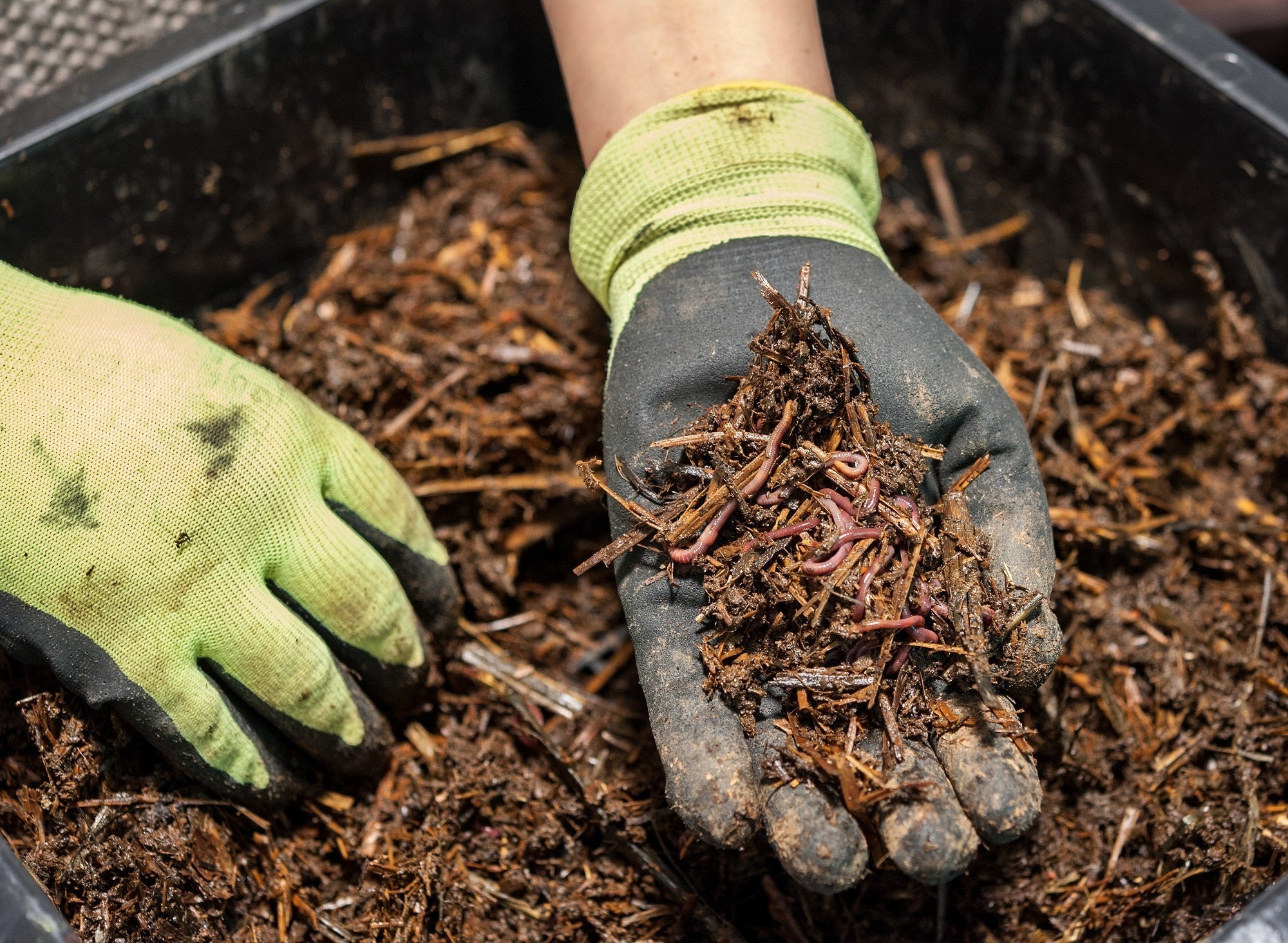 The Basics of Composting – Nature's Path