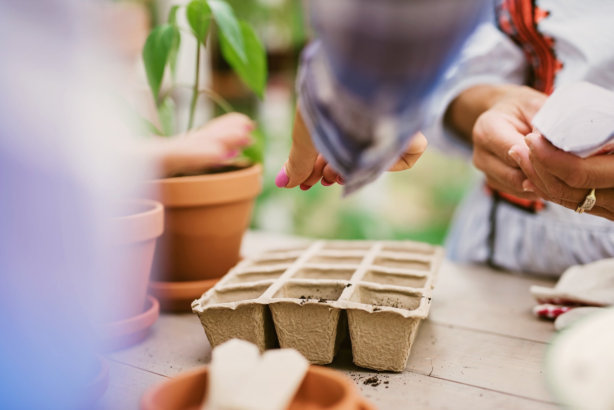 7 Organic Gardening Tips for February