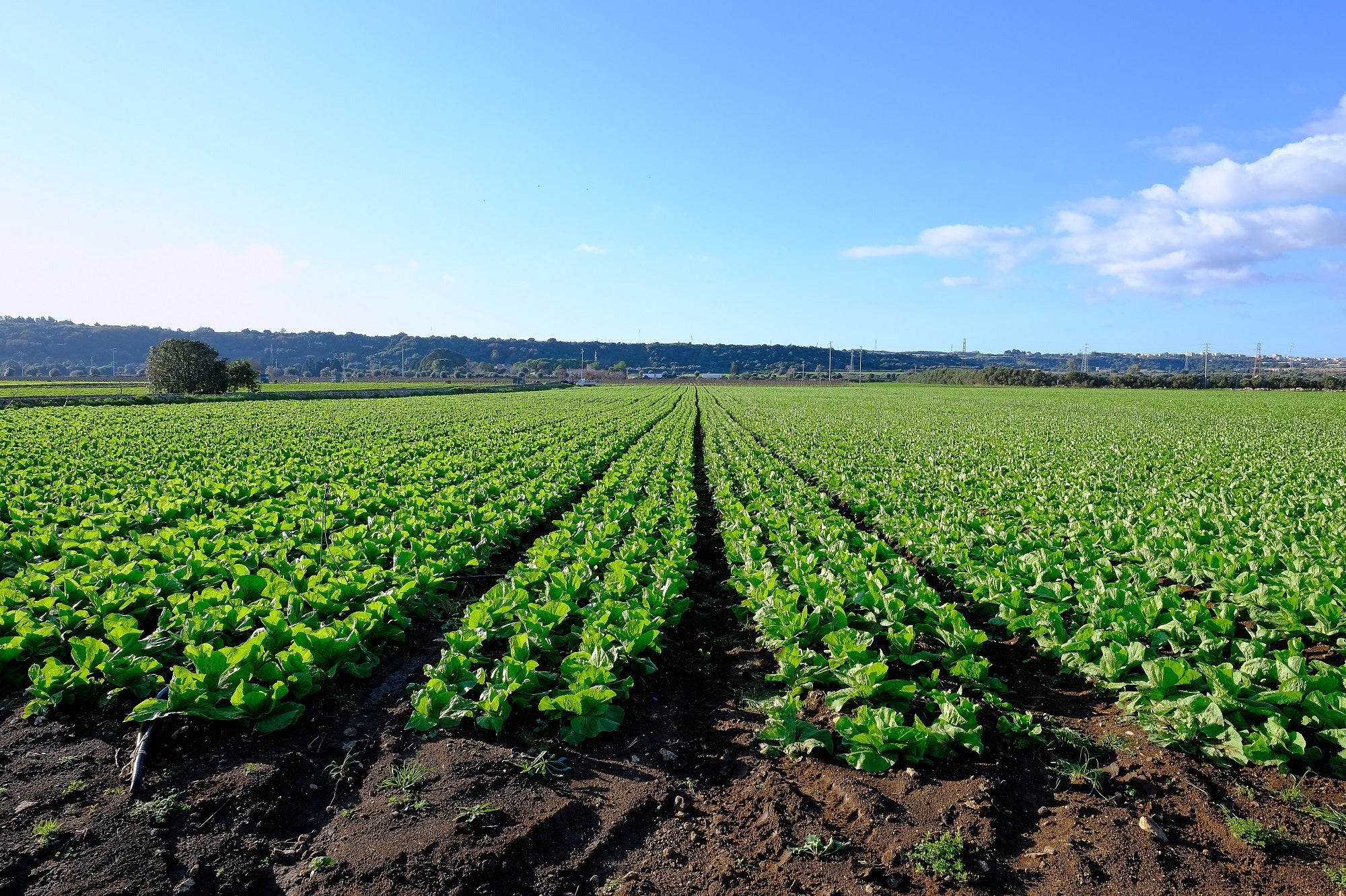 How Organic Farming Supports the Paris Climate Agreement – Nature's Path