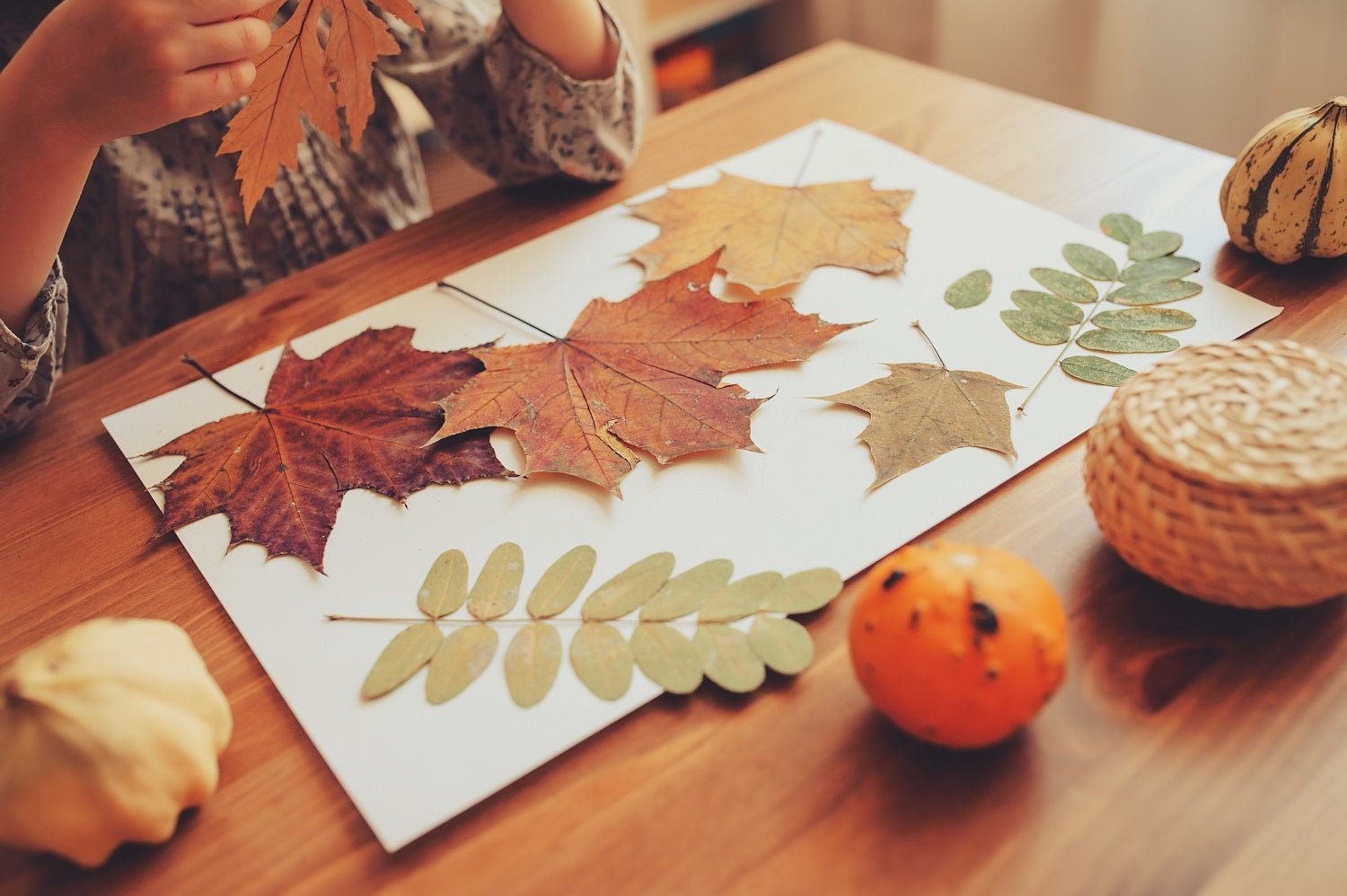 11 Fun Activities for Kids Using Fall Leaves