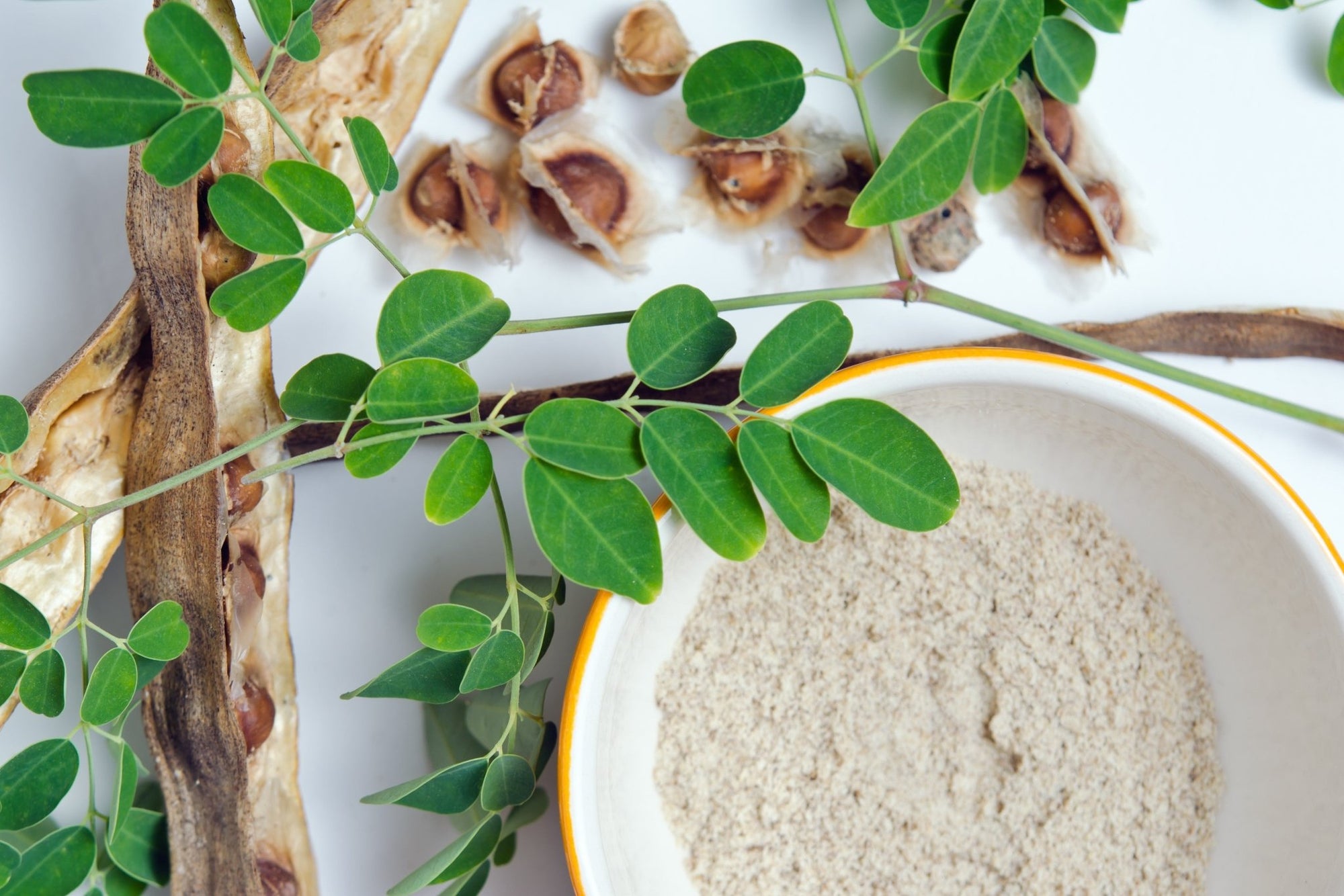 What is Moringa and Why Should You Care?