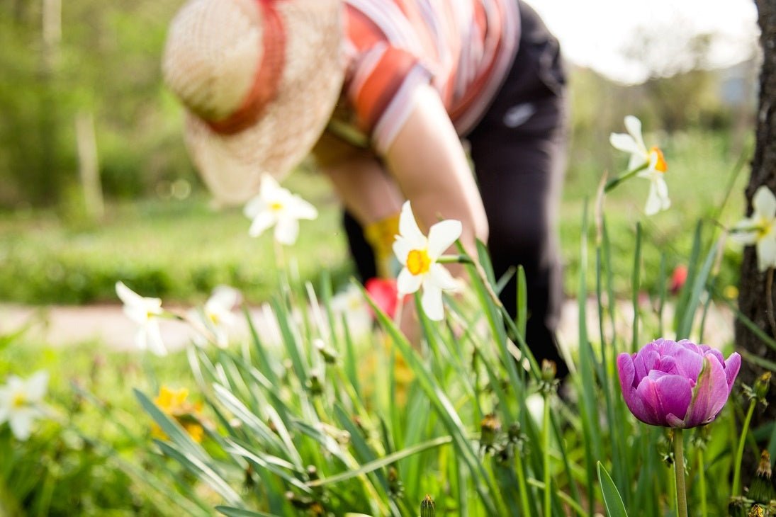 How Gardening Can Improve Your Health