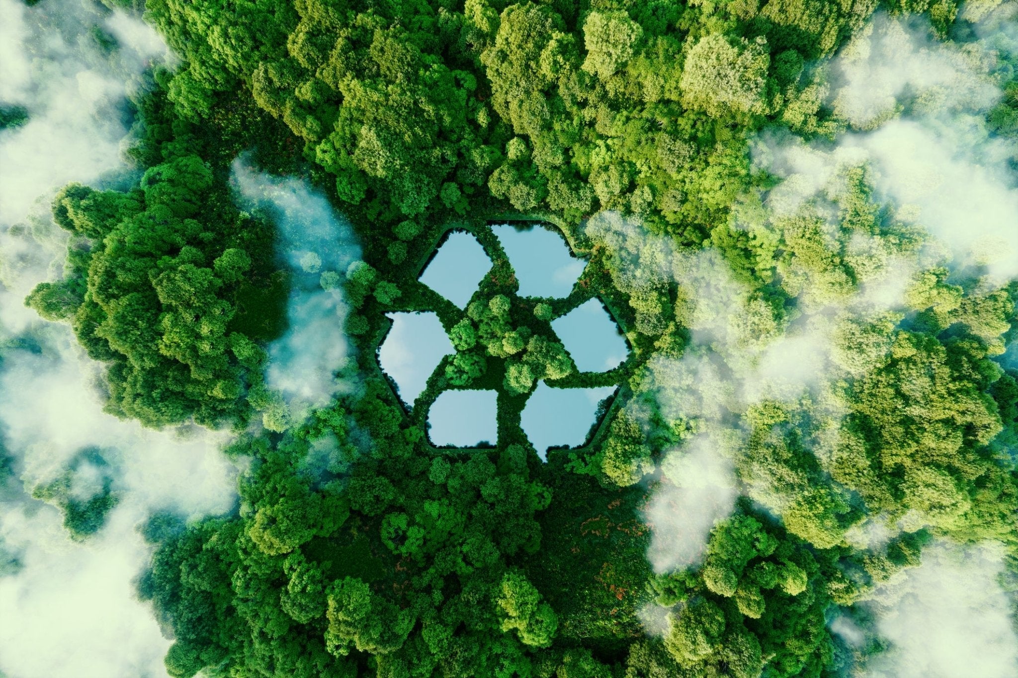 5 Ways You Can Protect the Environment – Nature's Path