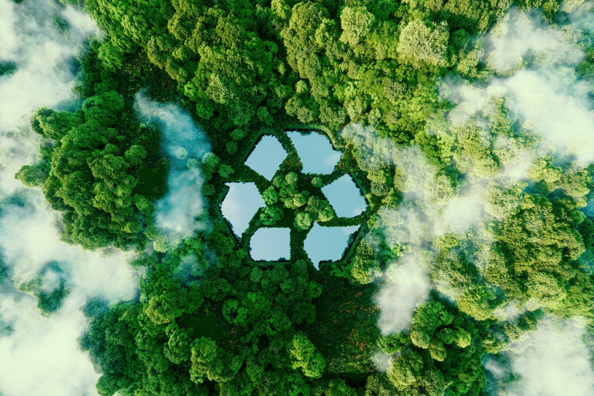 5 Everyday Ways to Protect the Environment – Nature's Path