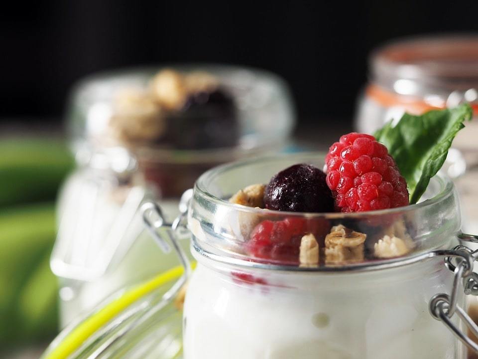 Homemade Probiotic Yogurt