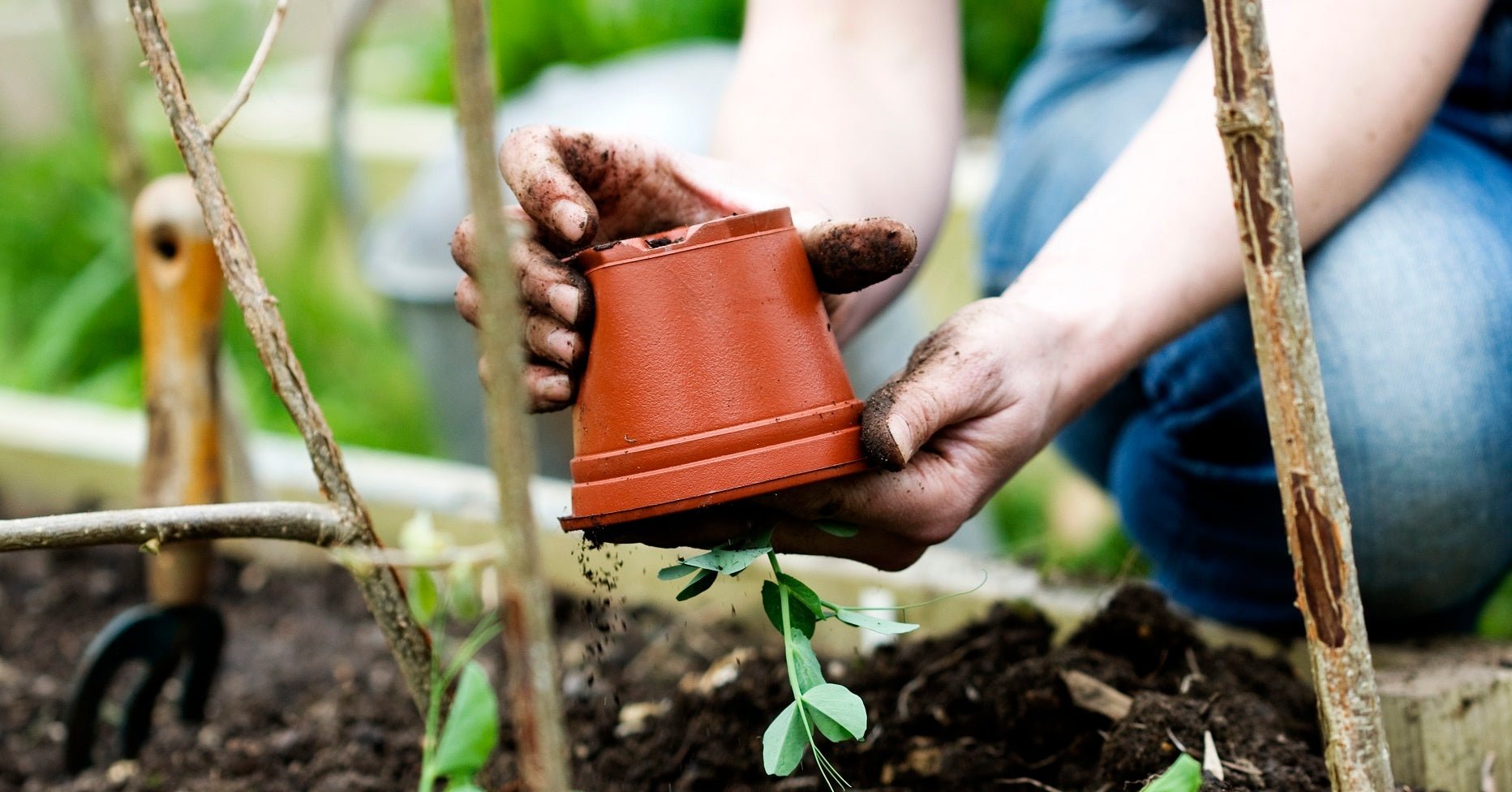 12 Month Guide to Organic Gardening