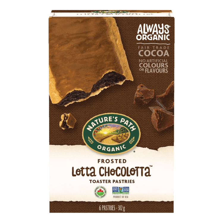 Frosted Lotta Chocolotta Toaster Pastries, 312 g Box