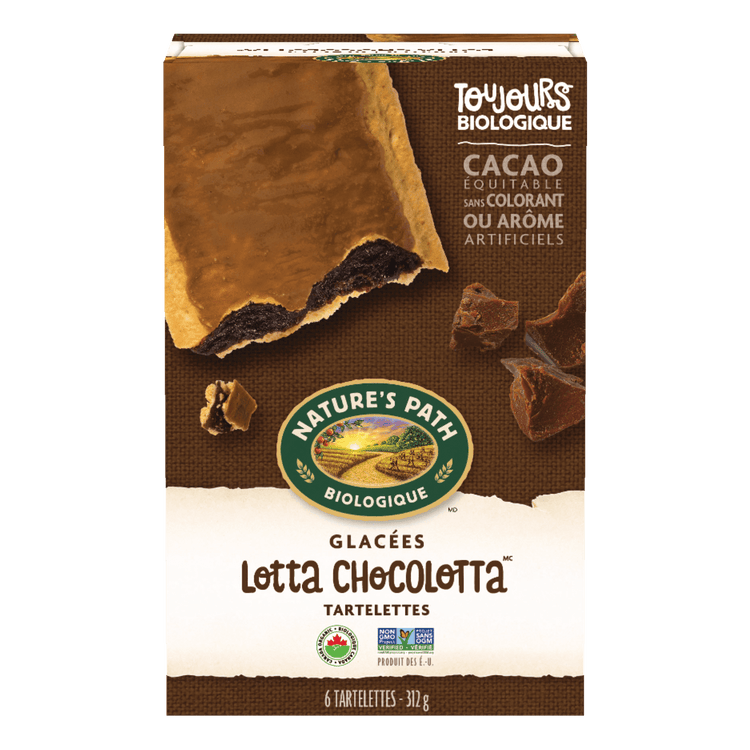 Frosted Lotta Chocolotta Pastries Toaster, 312 g Boîte
