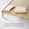 Frosted Buncha Blueberries Toaster Pastries