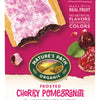 Nature's Path Organic Cherry Pomegranate Frosted Toaster Pastries 11oz Box
