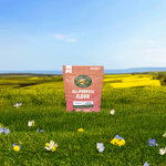 AllPurpose_Flour_058449243113-24311U