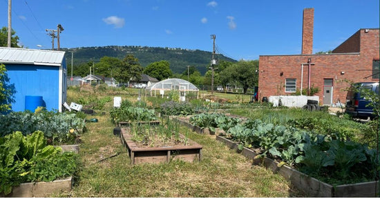 Alton Park Community Urban Farm 