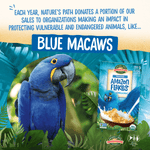 Amazon_Frosted_Flakes_Cereal_058449860013-86001U2