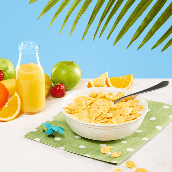 EnviroKidz Organic Amazon Frosted Flakes Cereal