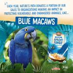 Amazon_Frosted_Flakes_Cereal_058449860013