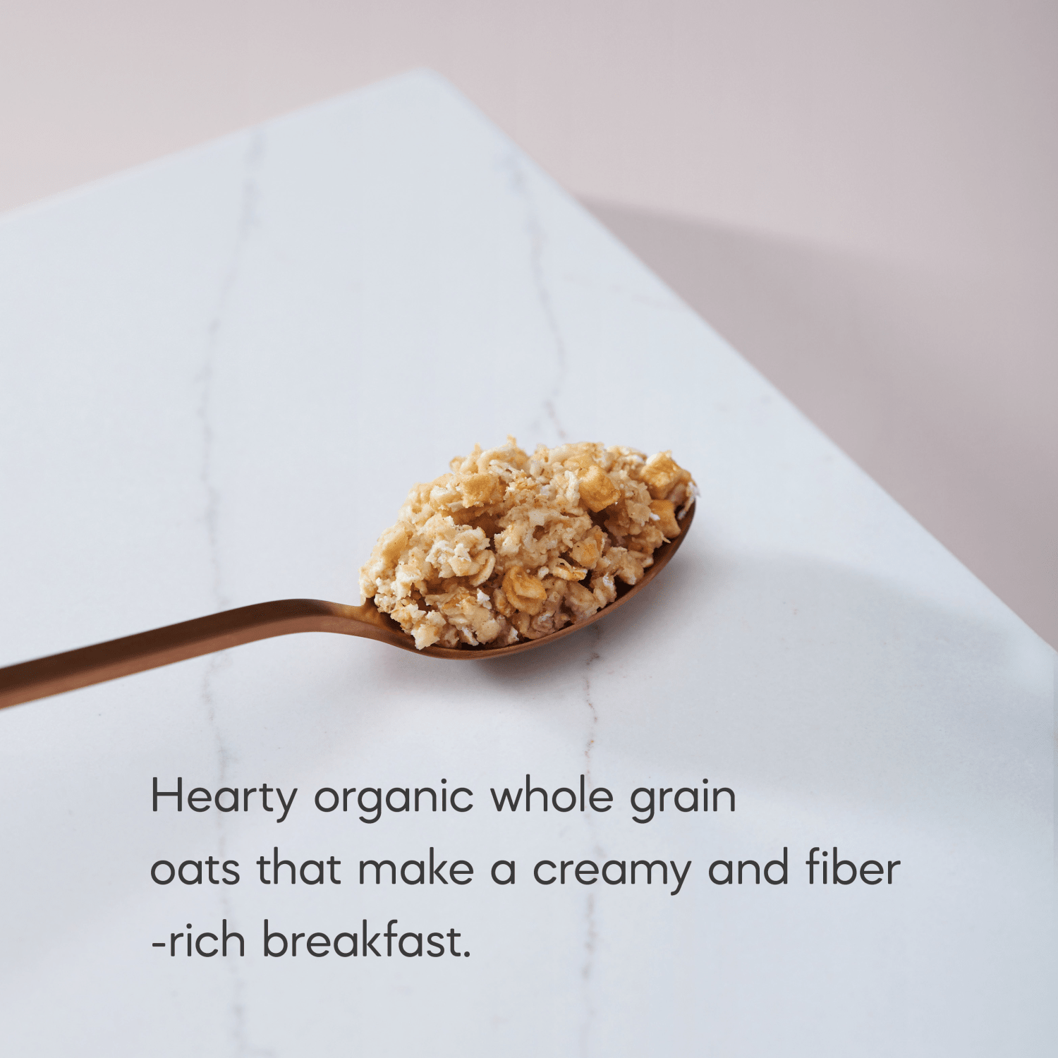 Apple-Cinnamon-Oatmeal_058449450047