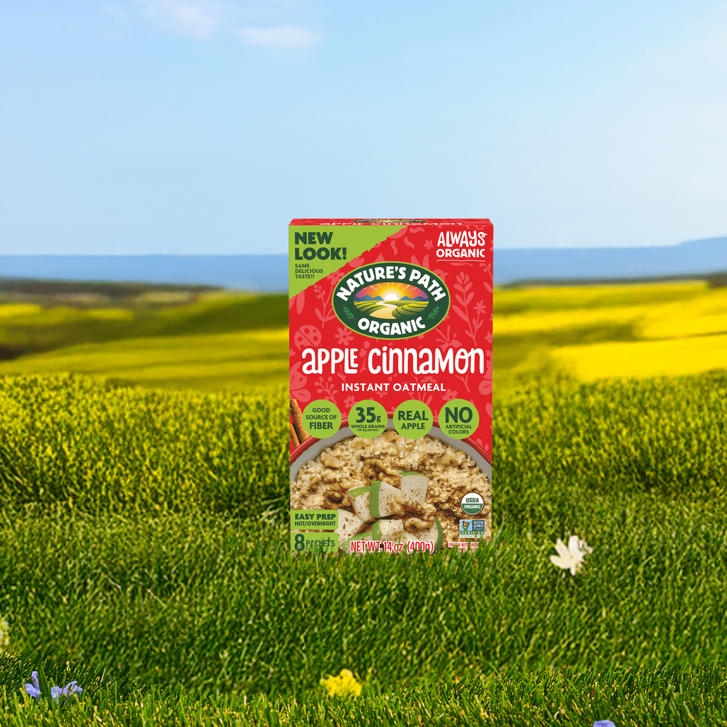 Apple_Cinnamon_Oatmeal_058449450047-45048U