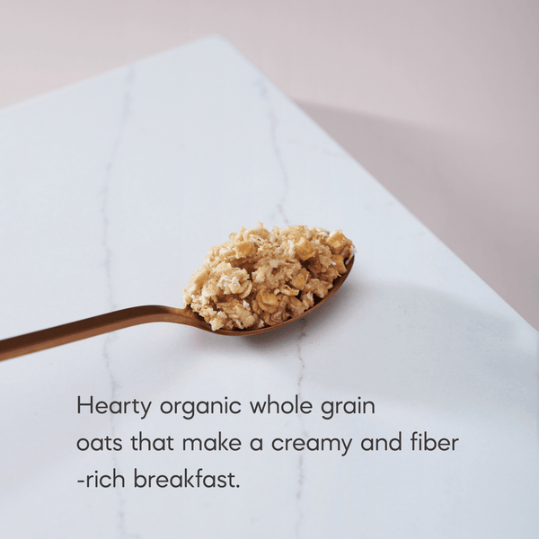 Nature's Path Organic Apple Cinnamon Instant Oatmeal