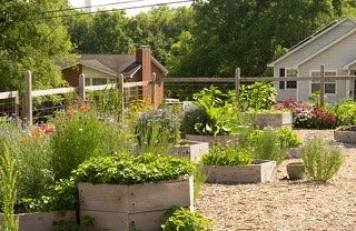 Brooklyn Heights Community Garden 