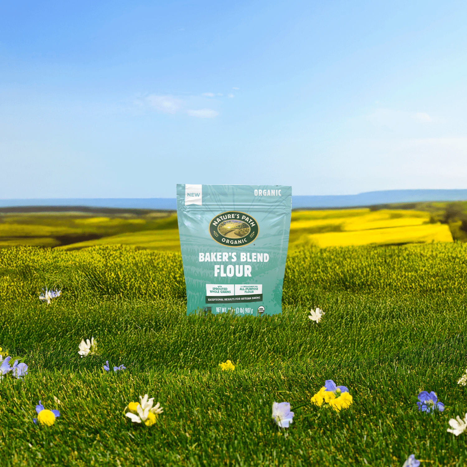tobacco flour Baker's Blend Flour tobacco flour Baker's Blend Flour