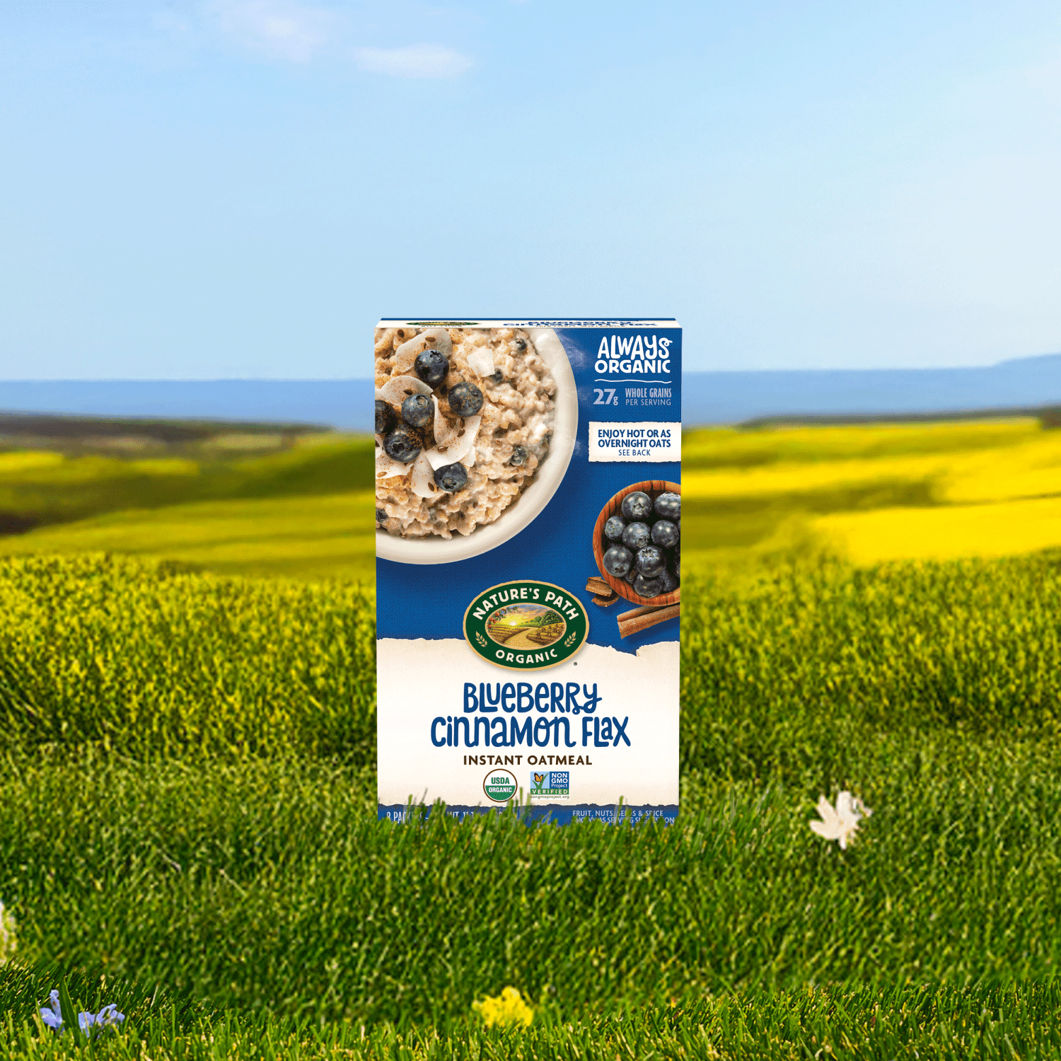 Blueberry-Cinnamon-Flax-Instant-Oatmeal_058449450139