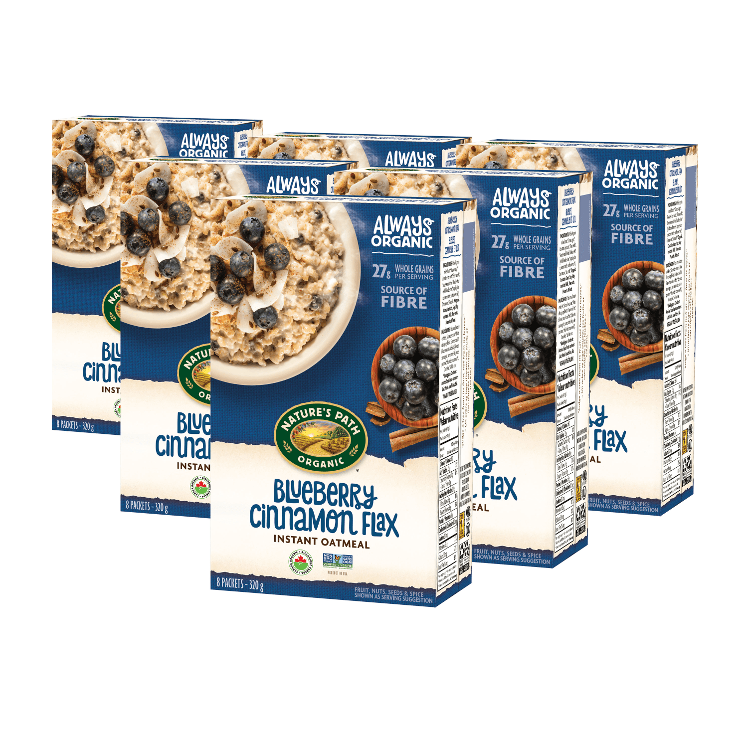 Blueberry-Cinnamon-Flax-Instant-Oatmeal_058449450139