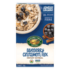Blueberry_Cinnamon_Flax_Instant_Oatmeal_058449450139-45041