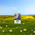 Blueberry_Cinnamon_Flax_Instant_Oatmeal_058449450139-45041