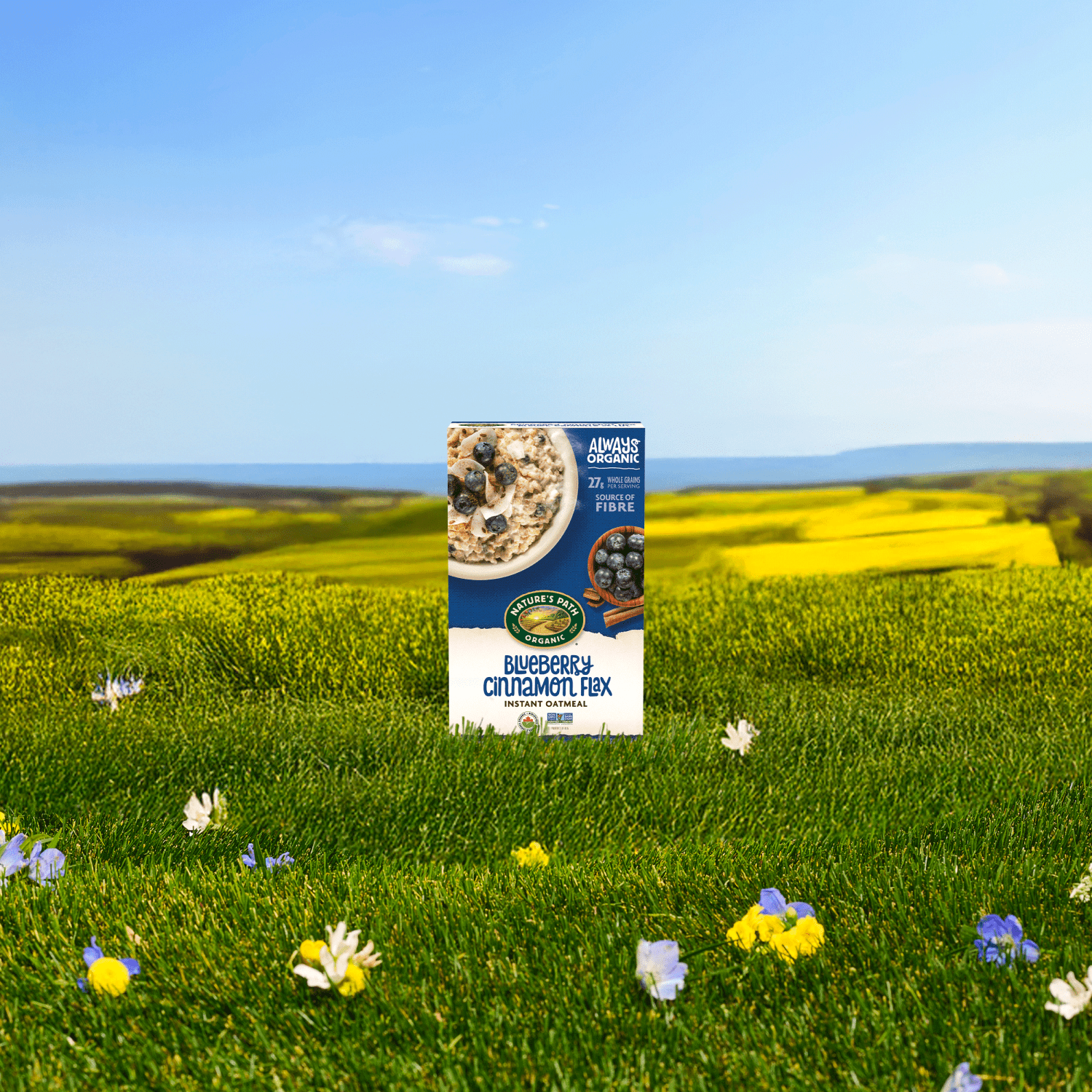 Blueberry_Cinnamon_Flax_Instant_Oatmeal_058449450139-45041