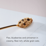 Blueberry_Cinnamon_Flax_Instant_Oatmeal_058449450139-45041