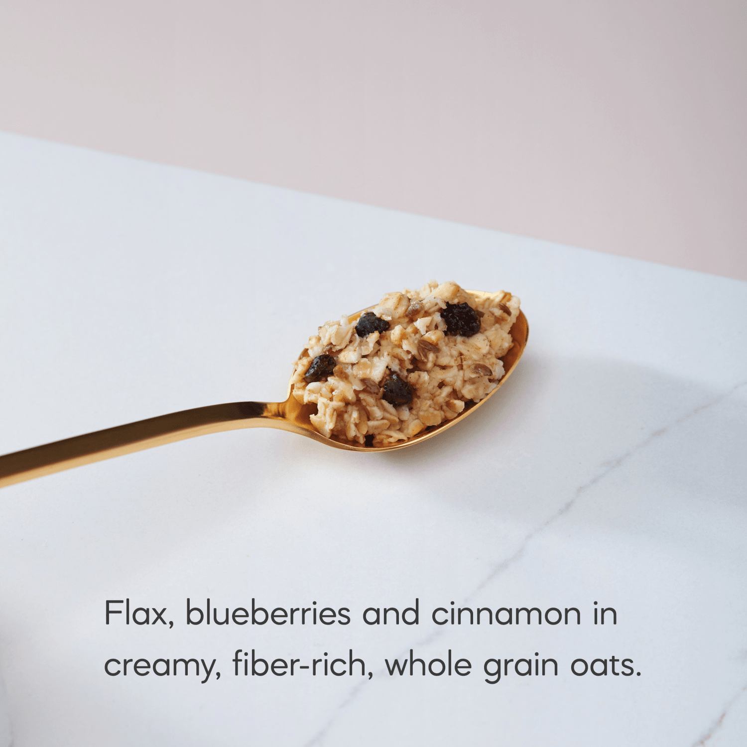 Blueberry_Cinnamon_Flax_Instant_Oatmeal_058449450139-45041