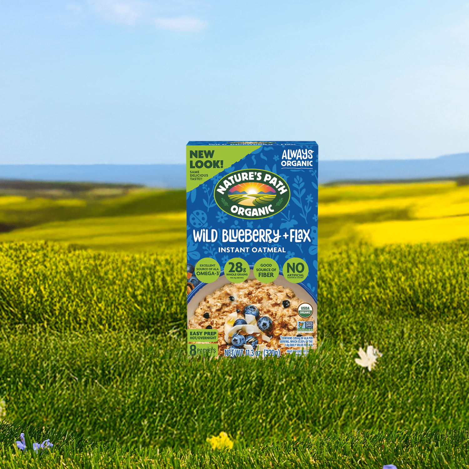 Blueberry_Cinnamon_Flax_Instant_Oatmeal_058449450139-45050U