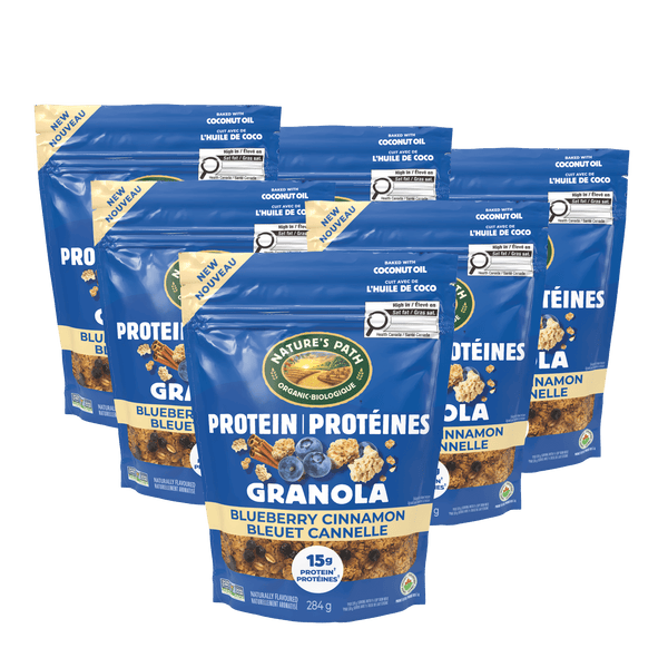 Nature's Path Organic Blueberry Cinnamon Protein Granola