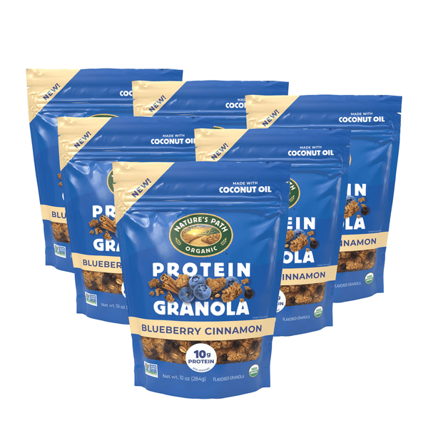 Nature's Path Organic Blueberry Cinnamon Protein Granola