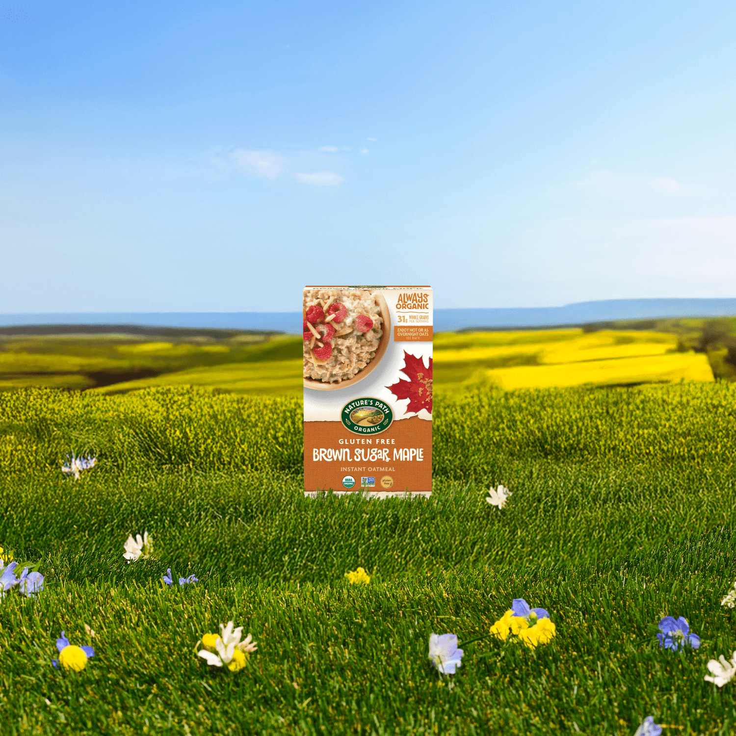 Brown_Sugar_Maple_Gluten_Free_Oatmeal_058449450610-45061U