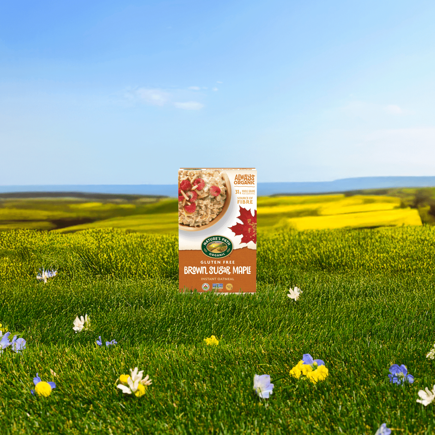 Brown_Sugar_Maple_Gluten_Free_Oatmeal_058449450696-45069