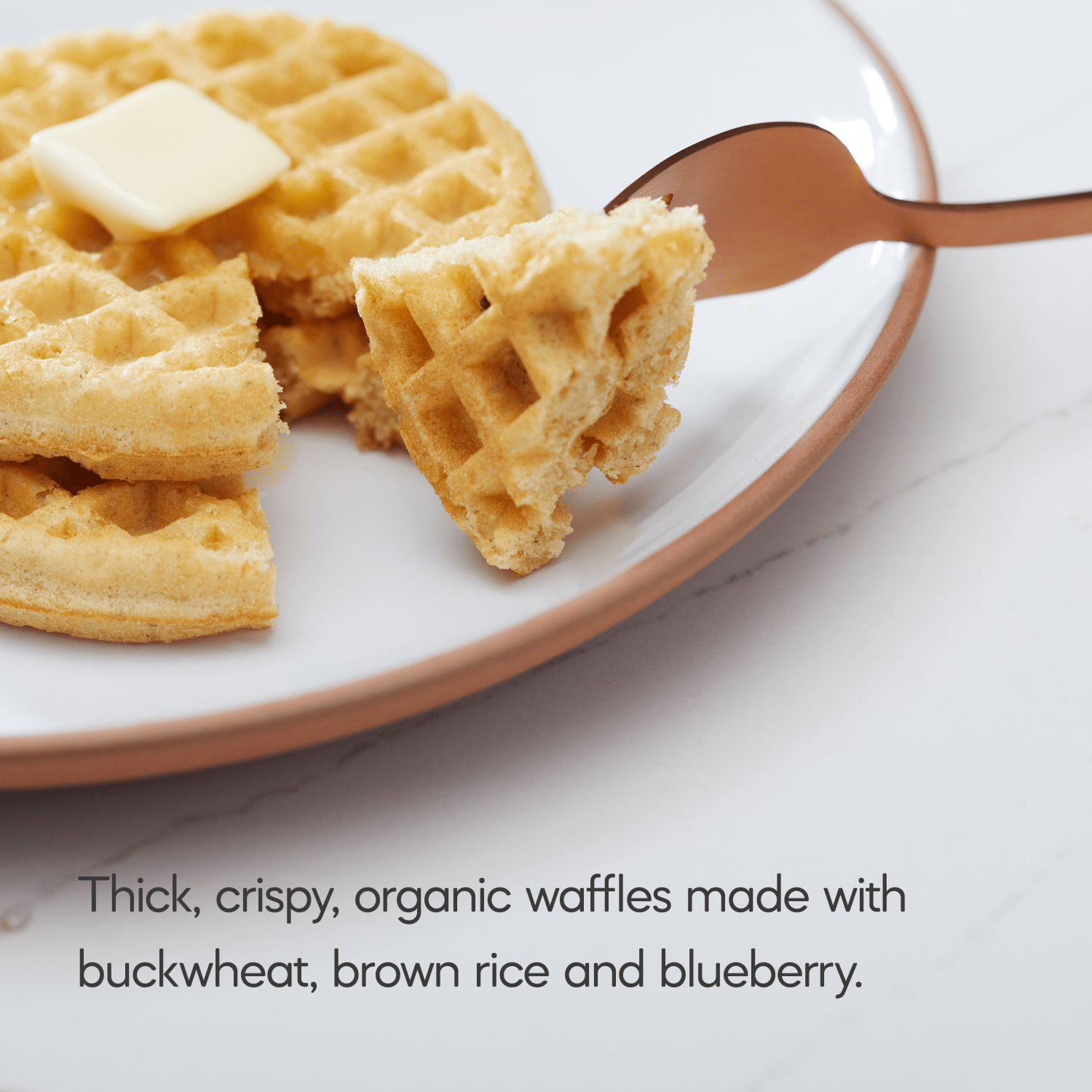 Buckwheat-Wildberry-Frozen-Waffles_058449590583