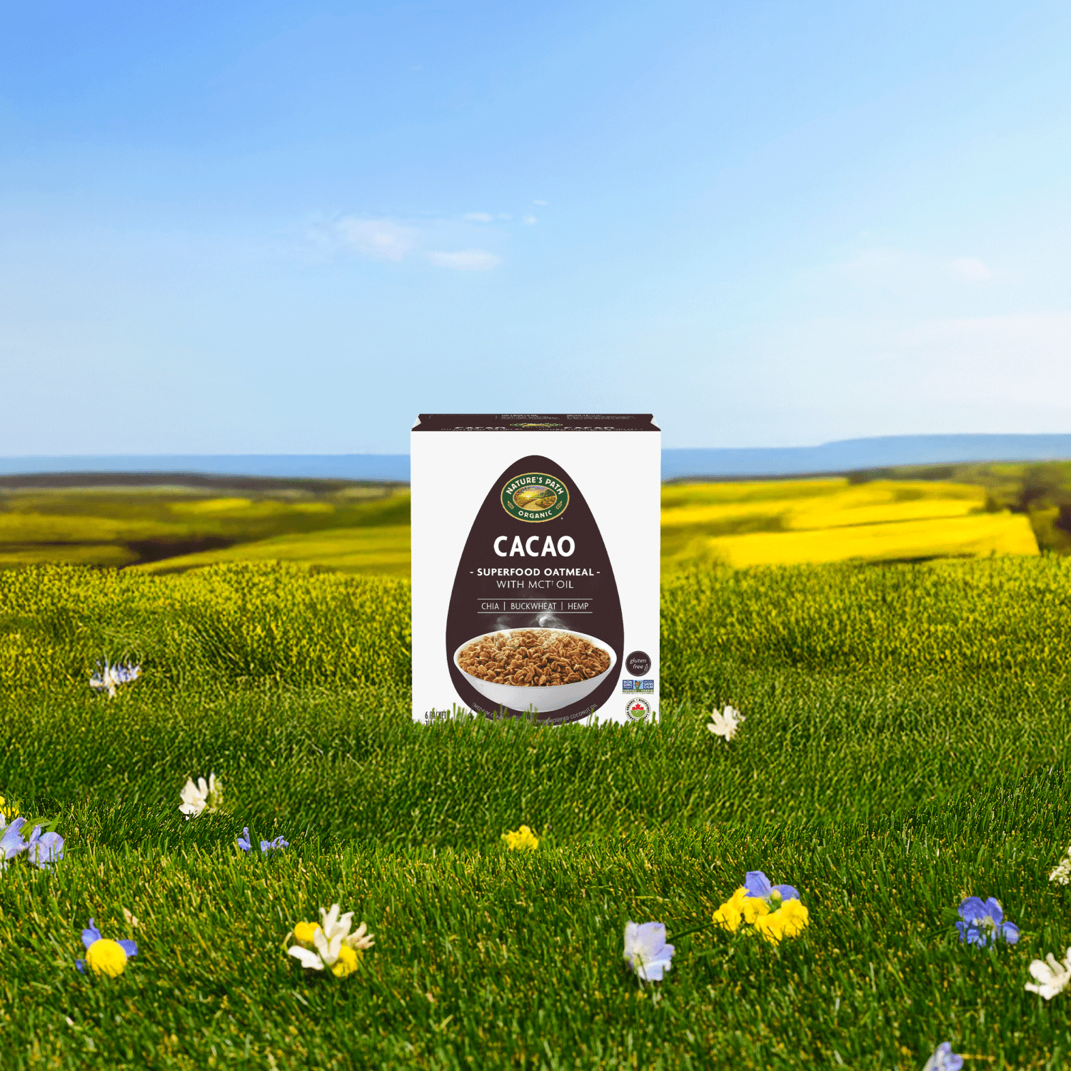 Cacao_Superfood_Oatmeal_058449204091-204092