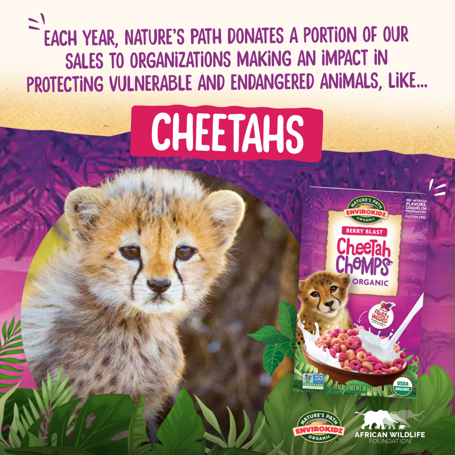 EnviroKidz Organic Cheetah Chomps Cereal – Nature's Path