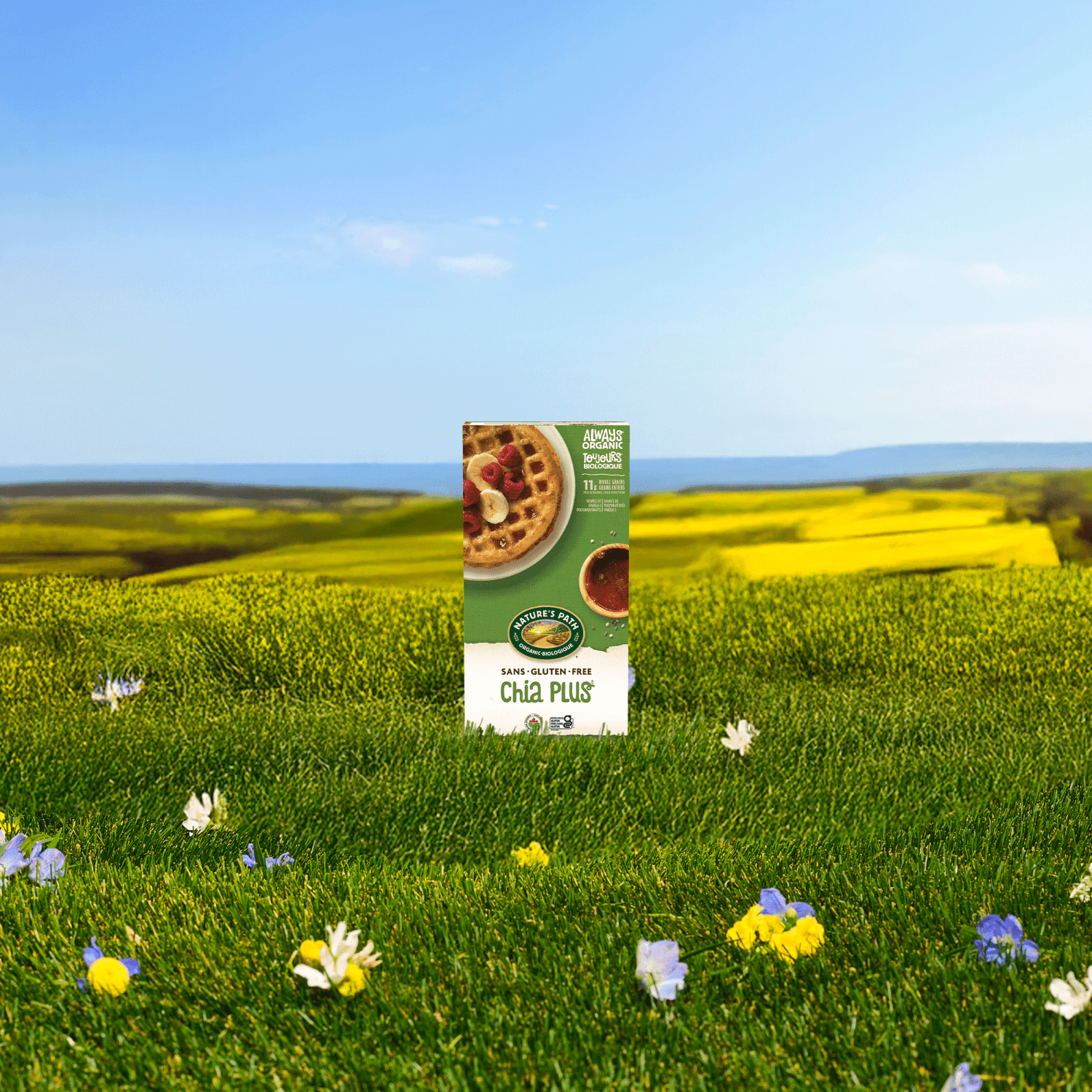 Chia Plus Frozen Waffles_058449590743