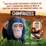 Choco_Chimps_Cereal_Bulk_Box_10058449212291-21229U