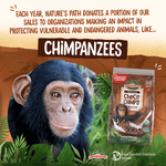 Choco_Chimps_Cereal__Lower_Sugar_058449241089
