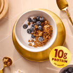 Chocolate_Almond_Butter_Protein_Granola_058449251316-25131