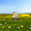 Chocolate_Chip_Oatmeal_058449231875-23187U