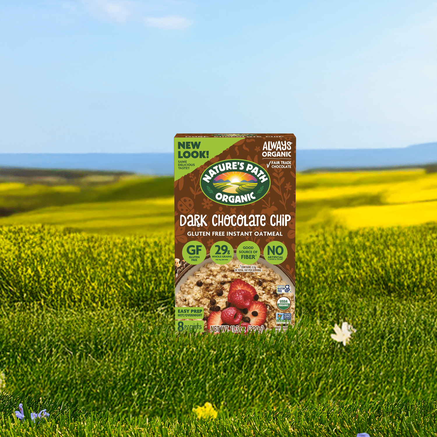 Chocolate_Chip_Oatmeal_058449231875-23187U