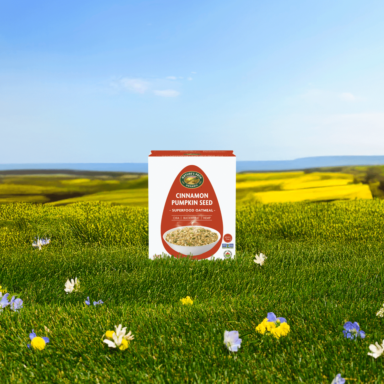 Cinnamon-Pumpkin-Seed-Superfood-Oatmeal_058449154044