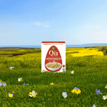 Cinnamon_Pumpkin_Seed_Oatmeal_058449154051-15405U